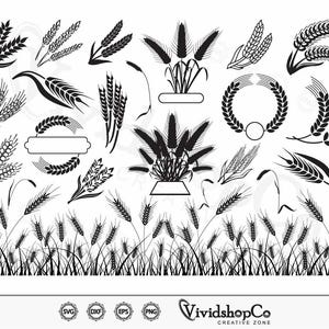 Bundle SVG grano, Svg grano, Svg grano, Clipart grano, File grano per Cricut, File di taglio grano per Silhouette, Dxf, Png, Eps, Vettore grano