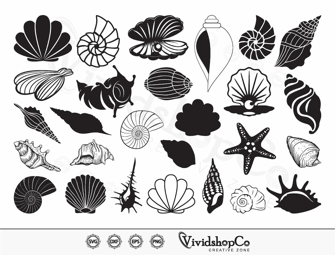 Seashell SVG, Sea Shells Svg, Clam Svg, Beach Svg, Ocean Svg, Shell Svg ...