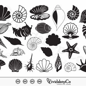 May include: A set of 25 black and white silhouette images of seashells, starfish, and other ocean-themed designs. The images are perfect for crafting, scrapbooking, or digital design projects.