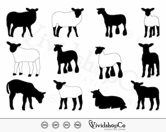 Show lam #2 SVG, markt lam svg, schapen svg, show schapen svg, clipart, gesneden bestanden voor silhouette, bestanden voor Cricut, Vector, dxf, png, ontwerp
