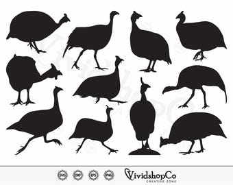Perlhuhn SVG, Perlhuhn SVG, Clipart, Schnittdateien für Silhouette, Dateien für Cricut, Vektor, Dxf, PNG, Design