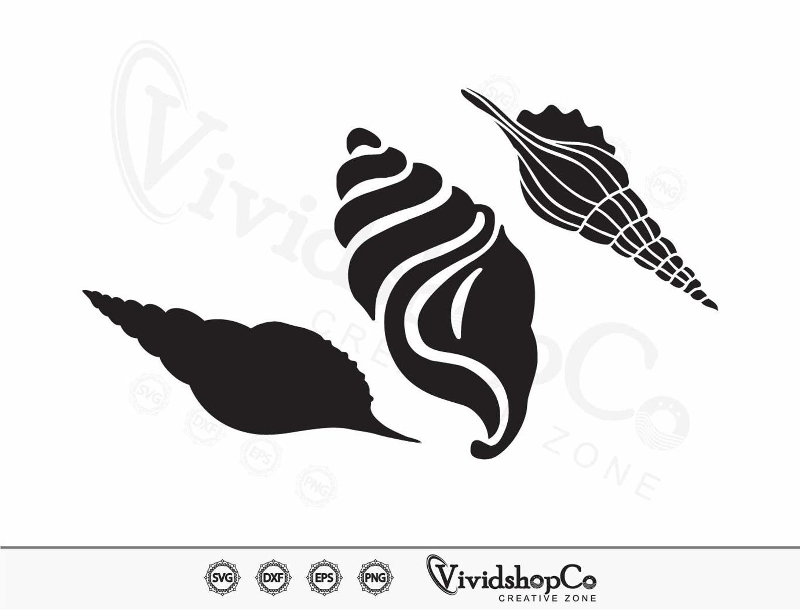 Seashell SVG, Sea Shells Svg, Clam Svg, Beach Svg, Ocean Svg, Shell Svg ...