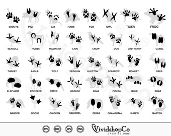 Animal Foot Print Svg Footprint Svg Foot Svg Feet Svg - Etsy Australia Animal Foot Print Svg Footprint Svg Foot Svg Feet Svg - Etsy Australia