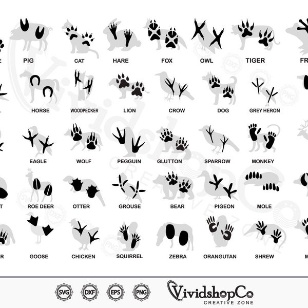 Animal foot print svg, Footprint svg, Foot svg, Feet svg, clipart vector png dxf eps stencil cut file for Cameo silhouette cricut vinyl