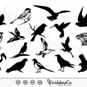 Bird svg, Bird Clipart, Bird Cut Files for Silhouette, Files for Cricut, Bird Vector, dxf, png, Design