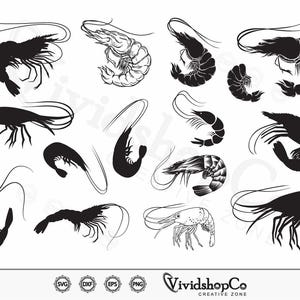 Shrimp SVG, Boiled Shrimp svg, Prawn svg, Seafood svg, Clipart, Cut Files for Silhouette, Files for Cricut, Vector, dxf, png, Design
