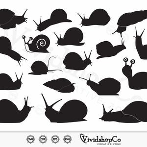 Caracol SVG, Caracoles svg, Forma de caracol svg, Caracol de jardín svg, Clipart, Archivos de corte para Silhouette, Archivos para Cricut, Vector, dxf, png, Diseño