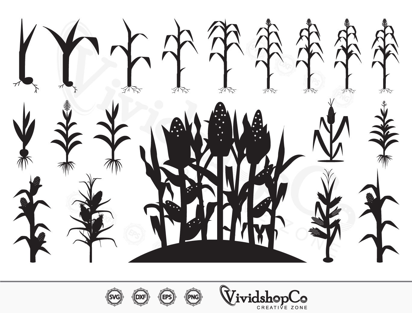 Corn Stalks SVG Corn Tree Corn Svg Corn Field Popcorn Etsy Hong Kong