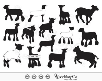 Show lam SVG, markt lam svg, schapen svg, show schapen svg, clipart, gesneden bestanden voor silhouette, bestanden voor Cricut, Vector, dxf, png, ontwerp
