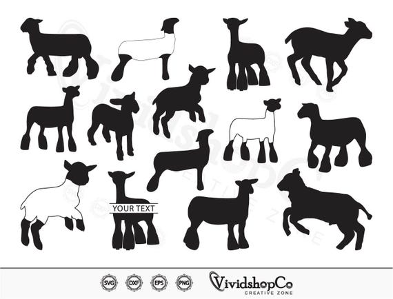 Show Lamb SVG, Market Lamb svg, Sheep svg, Show Sheep svg, Clipart, Cut Files for Silhouette, Files for Cricut, Vector, dxf, png, Design