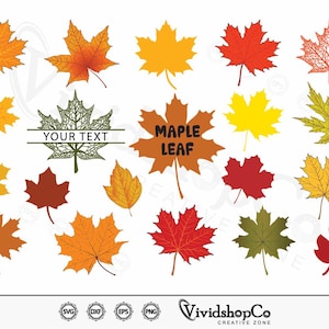 Ahornblätter SVG, kanadisches Blatt svg, Herbst Ahornblatt svg, Clipart, Schnittdateien für Silhouette, Cricut, Vektor, dxf, png, Design