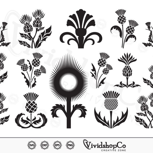 Scottish Thistle SVG, Thistle svg, Scottish Thistle Clipart, Cut Files for Silhouette, Files for Cricut, Vector, dxf, png, Design