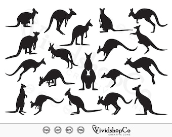 May include: A collection of black kangaroo silhouettes in various poses, including jumping, standing, and with a joey in a pouch. The image includes the VividshopCo Creative Zone logo and file type icons.
