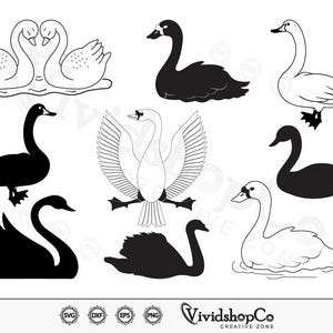 Swan svg, Swans svg, Swan Clipart, Swan Cut Files for Silhouette, Files for Cricut, Swan Vector, dxf, png, Design