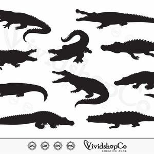 Krokodil SVG, Kaiman svg, Cayman Tier, Tier svg, Alligator svg, Clipart, Schnittdateien für Silhouette, Dateien für Cricut, Vektor, dxf, png