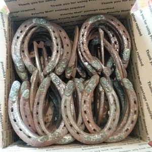 One dozen used horseshoes. Rustic. Country. Ranch. Buggy. Equestrian. Use for welding, art, craft, decor projects. Free USA shipping.