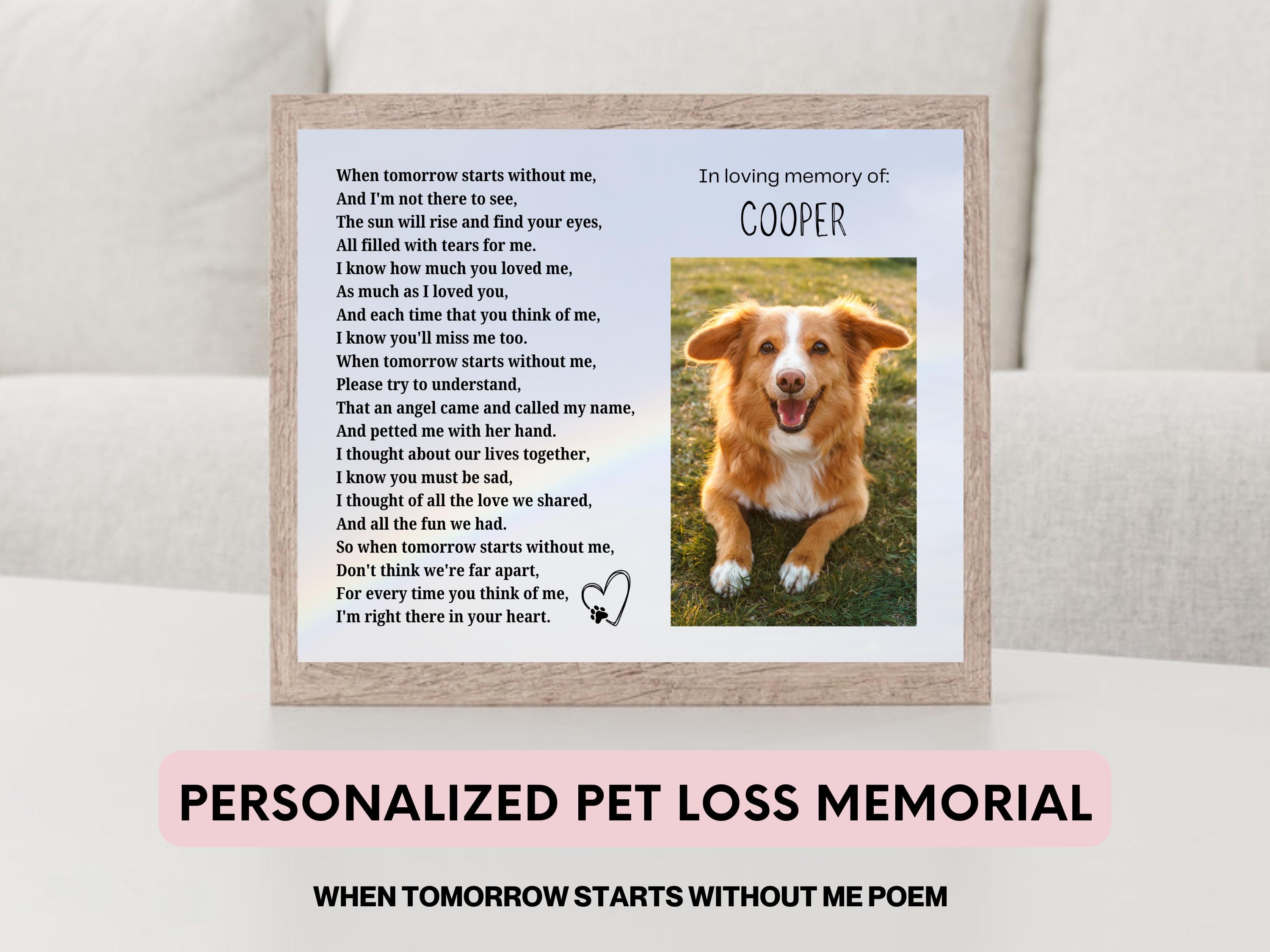 Guqqeuc Portachiavi commemorativo per cani e gatti, regalo