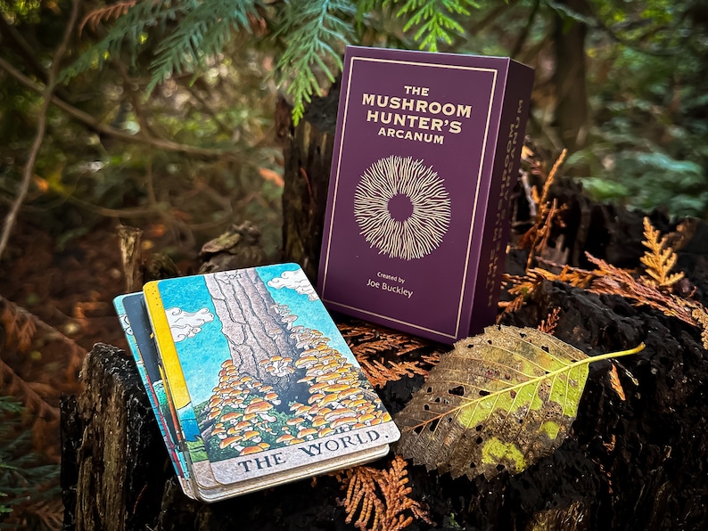 May include: A deck of tarot cards called "The Mushroom Hunter's Arcanum" created by Joe Buckley. The cards are stacked on a tree stump in a forest setting. The top card shows a tree with mushrooms growing at the base. The card is labeled "The World".