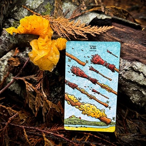 May include: A tarot card with a blue background and the number VIII in Roman numerals. The card depicts a scene of multiple broomsticks flying through the air, with some broken and falling apart. The card is lying on a wooden surface with yellow mushrooms.