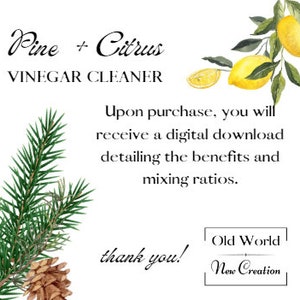 Pine Citrus Cleaner Concentrate -- Location Pickup, Please Enter Item Number