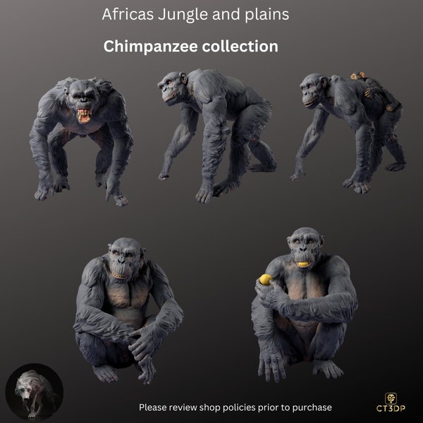 Collection Afrique jungle et plaines - Chimpanzés par Animal Den Miniatures