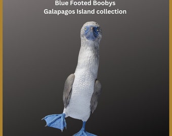 アオアシカツオドリ/ぬいぐるみ/海洋鳥/ガラパゴス鳥/DECORNERHOME