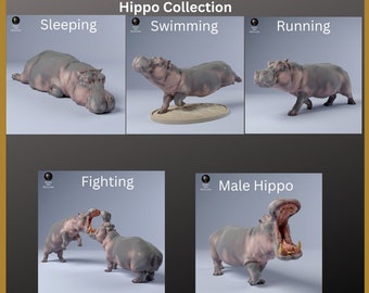 The hippo Collection from Animal Dens Africa and Plains collection- superb detail. Hippopotamus-wild-animal Africa-plains