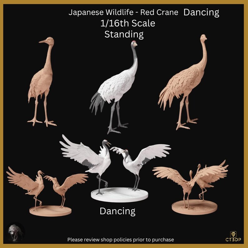 Japanese Wildlife Collection Red Cranejapanesered Craneartwildlife