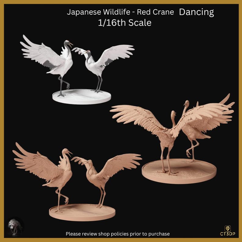 Japanese Wildlife Collection Red Cranejapanesered Craneartwildlife