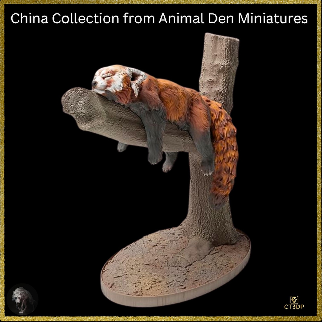 The Rare Red Panda From Animal Dens China Collection-rare-red-panda ...