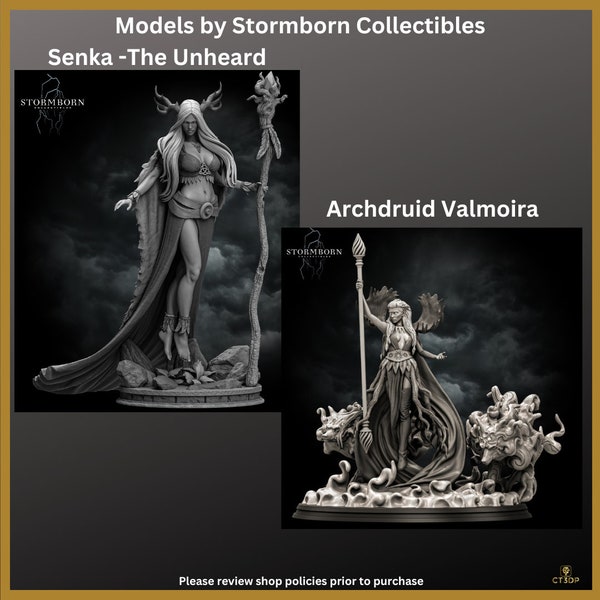 Archidruide Valmoira et Senka l'inouïe par Stprmborn Collectibles. Beau détail. Un ajout parfait à toute collection de miniatures