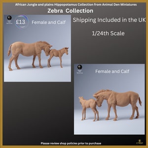 La collection Zebra d'Animal Den Miniatures adorables et pleines d'action Zebra-femelle-veau-Afrique-sauvage image 5