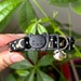 see more listings in the Cat Collars section