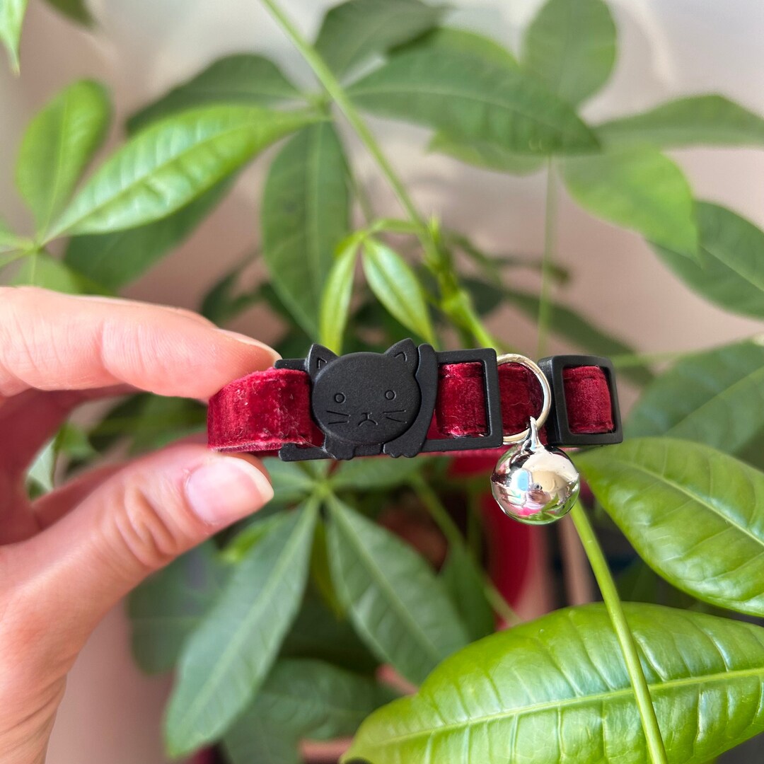 Burgundy Breakaway Cat Collar Red Velvet Handmade Cat Collar Etsy