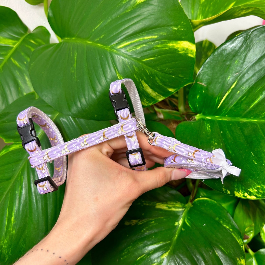 Handmade Cat Harness and Lead Witchy Cat Accessories Etsy