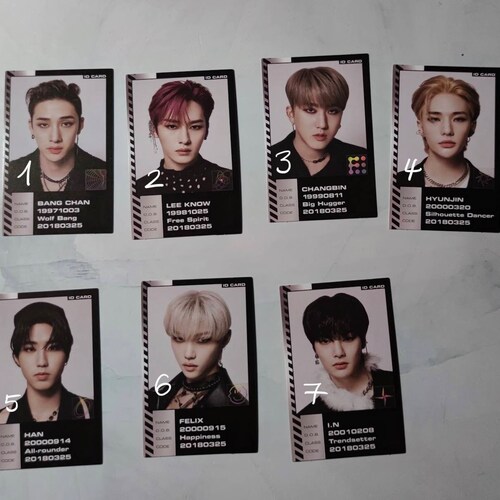 Stray Kids Oddinary Official Album Photocards (ID Cards) - Etsy