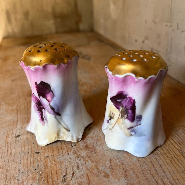 Rare Antique Hand Painted Porcelain Salt and Pepper Shakers Floral Iris Purple Gold Rosenthal & Company Bavaria Germany | Purchase for Hope