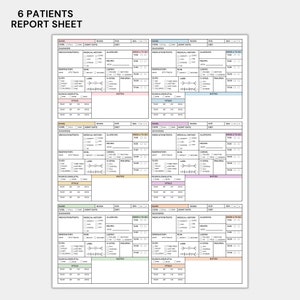 4 patient nursing report sheet