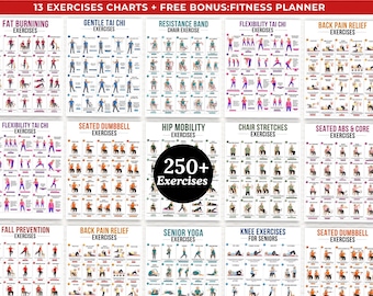 Senior exercise bundle printable,Fall prevention balance exercises,tai chi chair workout chart printable,Exercise bundle for seniors pdf