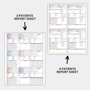 2 patient nursing report sheet