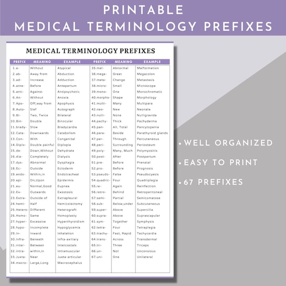 Printable medical terminology list pdf medical prefixes and 44 off