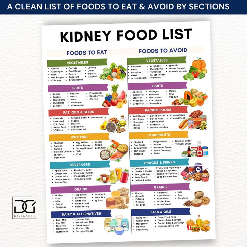 Kidney friendly meal plan,Renal diet food chart,Kidney meal plan pdf,Low sodium diet list,kidney disease diet poster,CKD stage 3 food 

Kidney disease food list printable,kidney food list chart,Renal diet chart,Kidney stone diet chart,Low sodium Low phosphorus grocery list,Kidney friendly food list printable,Renal diet chart,Kidney stone diet chart,Low sodium Low phosphorus grocery list,Kidney stone food list poster,Kidney disease checklist,Kidney friendly grocery list,List of kidney foods