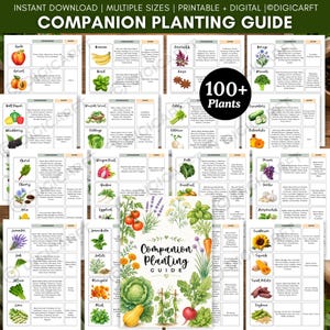 May include: A digital companion planting guide featuring a collection of charts with botanical illustrations of vegetables, fruits, and herbs. The text includes "Companion Planting Guide" and "100+ Plants" with lists of compatible and incompatible crops.