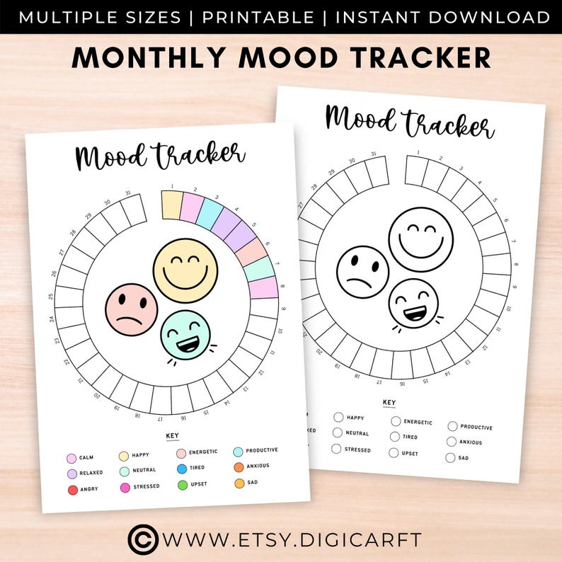 Mood Tracker Journal, Mood Chart Printable, A5 Mood Tracker, Monthly Mood Log, Circular Mood Chart, Bullet Journal Mood, Daily Mood Tracker, Stress Tracker PDF