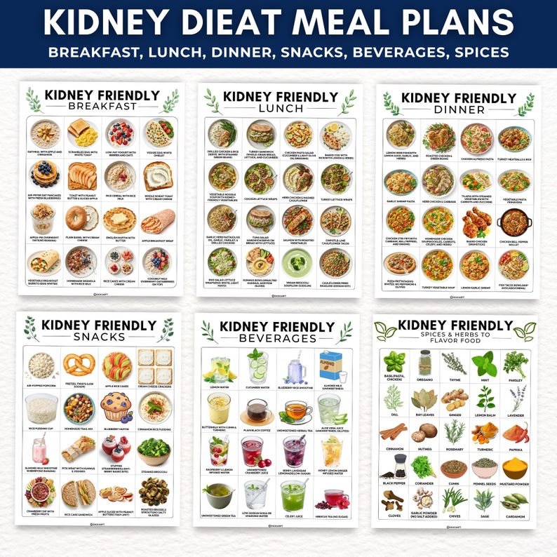 Kidney friendly meal plan,Renal diet food chart,Kidney meal plan pdf,Low sodium diet list,kidney disease diet poster,CKD stage 3 food 

Kidney disease food list printable,kidney food list chart,Renal diet chart,Kidney stone diet chart,Low sodium Low phosphorus grocery list,Kidney friendly food list printable,Renal diet chart,Kidney stone diet chart,Low sodium Low phosphorus grocery list,Kidney stone food list poster,Kidney disease checklist,Kidney friendly grocery list,List of kidney foods