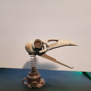 Nux&#39;s Bird BobbleHead