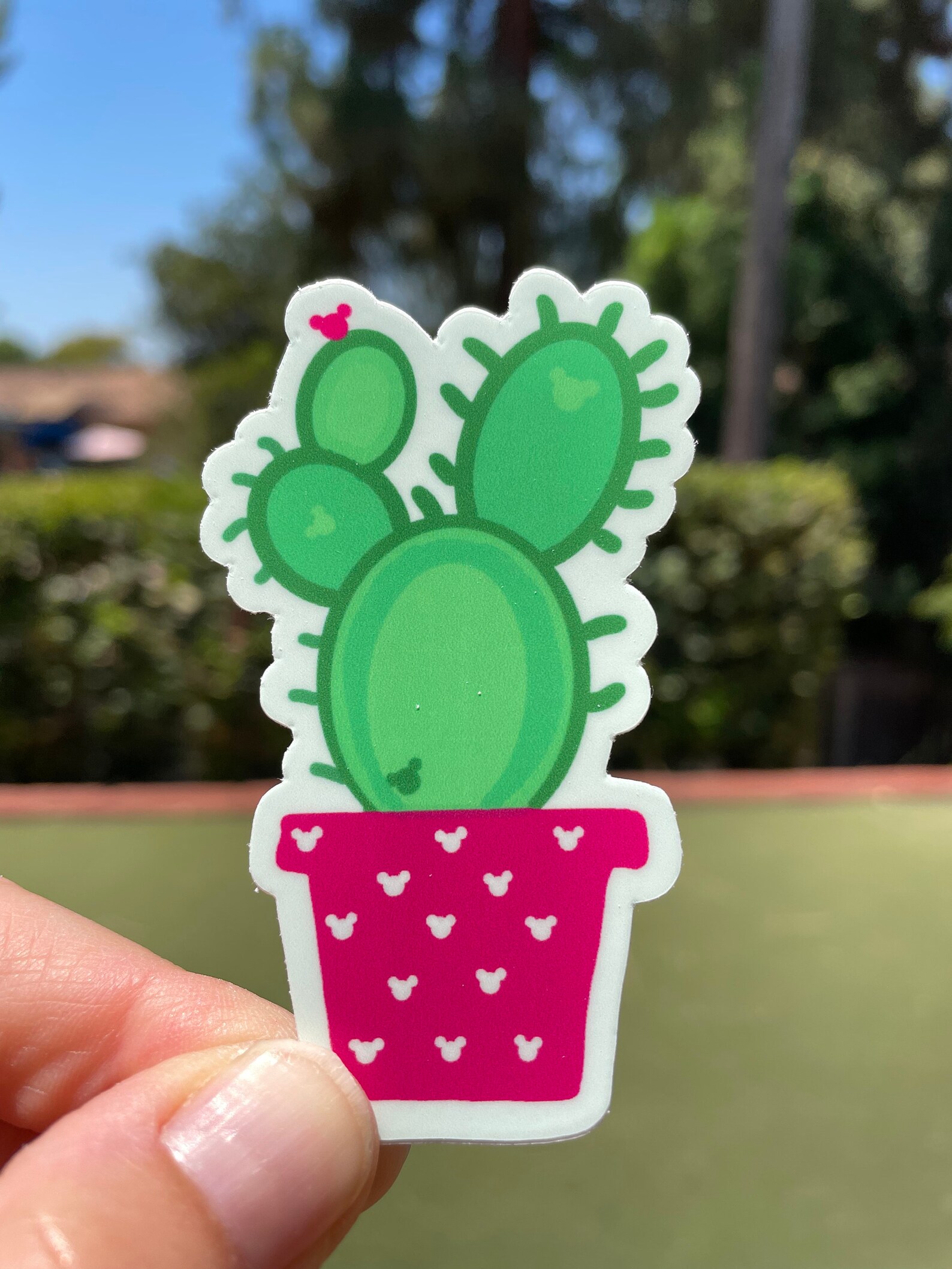 Mickey Cactus Hidden Mickey Decal Disney Sticker Water - Etsy UK