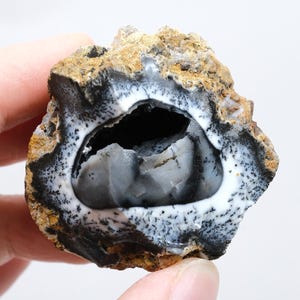 Rare Merlinite (Dendritic Opal) Geode – Natural 3D Tree-Like Dendrites | One of a Kind Specimen