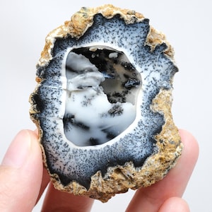 Rare Merlinite (Dendritic Opal) Geode – Natural 3D Tree-Like Dendrites | One of a Kind Specimen