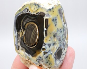 Multi-Color Merlinite Freeform - Yellow, Blue, and Black Dendritic Opal